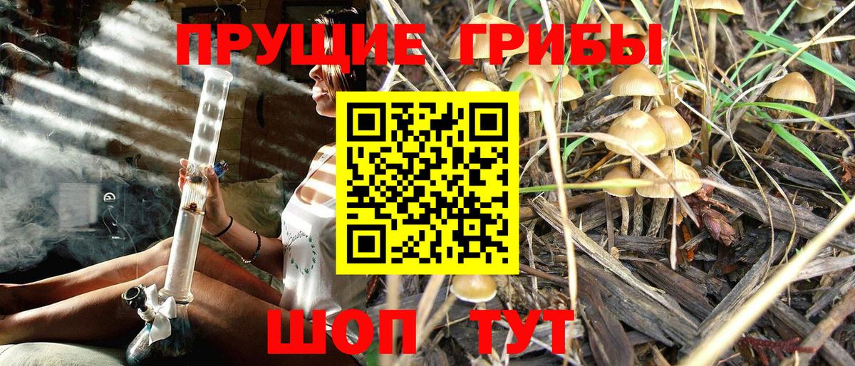Псилоцибиновые грибы ЛСД  Псилоцибиновые грибы мухоморы  где купить наркоту  Йошкар-Ола  Вход с VPN 
